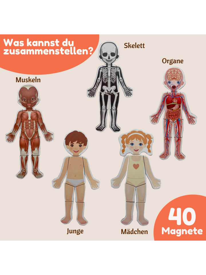 MAGNIKON Magnetisches Lernspiel über den menschlichen Körper ab 3 Jahren, 40 Magnete günstig kaufen onesize