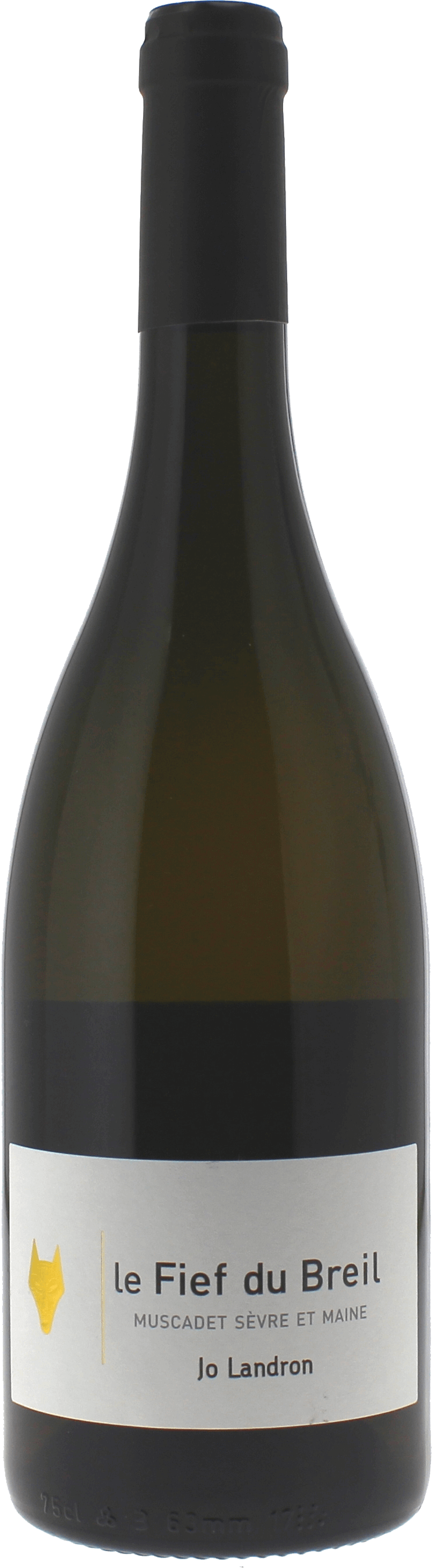Le fief du breil domaine landron 2018