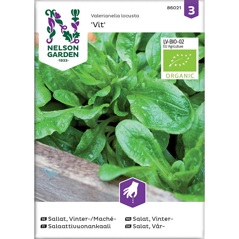 Nelson garden Frø Salat Vinter-, Vit, organic