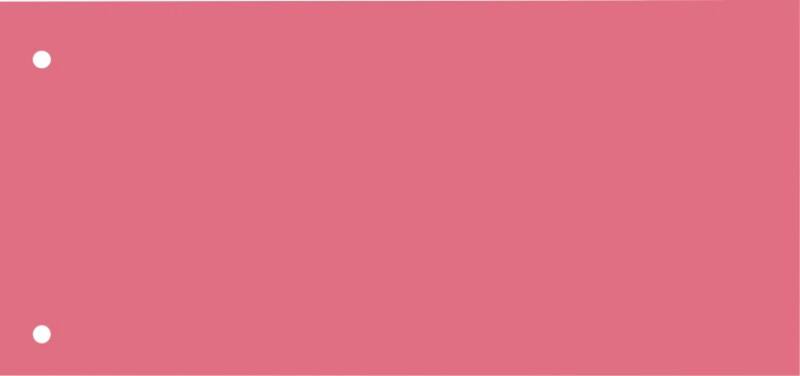 KANGARO Blanko Trennstreifen Spezial Pink Karton Rechteckig 2 Löcher 07071-13 100 Stück