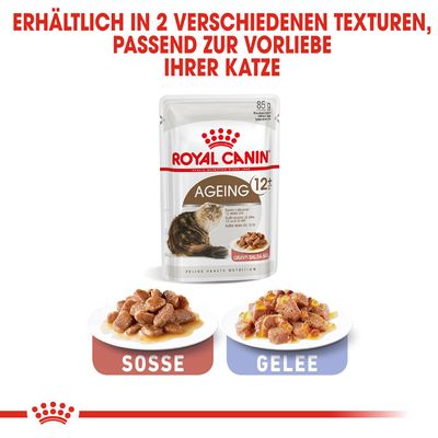 Royal Canin Ageing 12+ in Soße