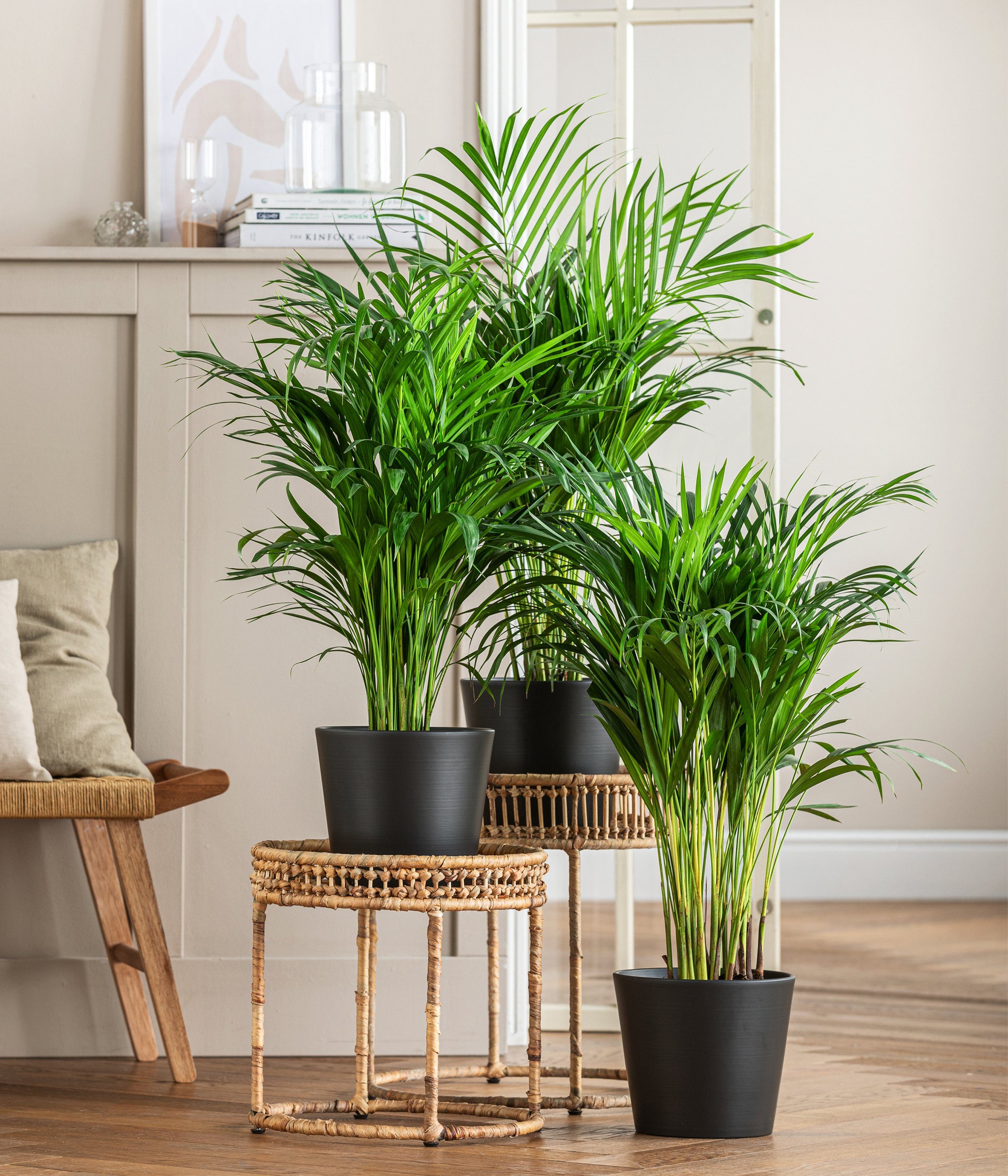 Dehner Übertopf Basic Blumentopf, rund, Keramik, glasiert, klassisch schöner Übertopf in verschiedenen Farben und Formen