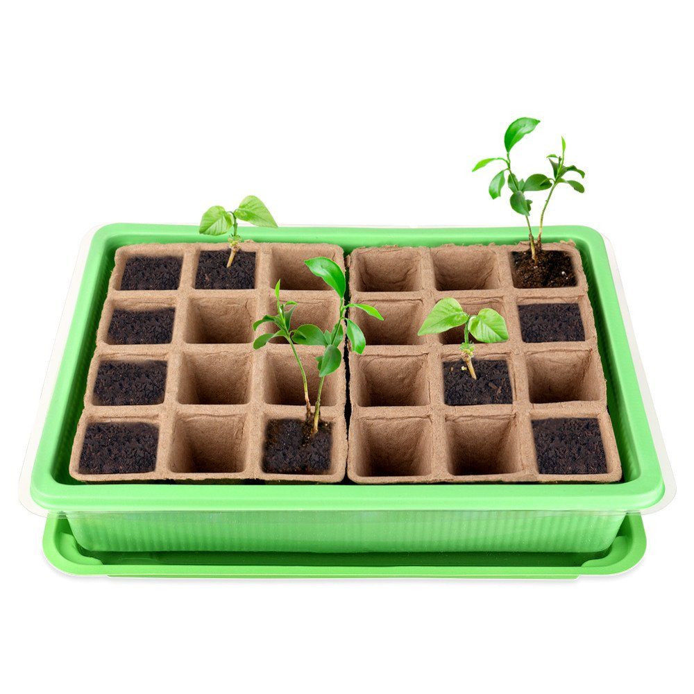 Schramm Frühbeet Schramm® 6 Stück Anzucht Set Gewächshaus Anzucht Schale Töpfe Zimmergewächshaus 27 x 19 x 11 cm für 144 Anzuchttöpfe Anzuchtset Mini-Gewächshaus