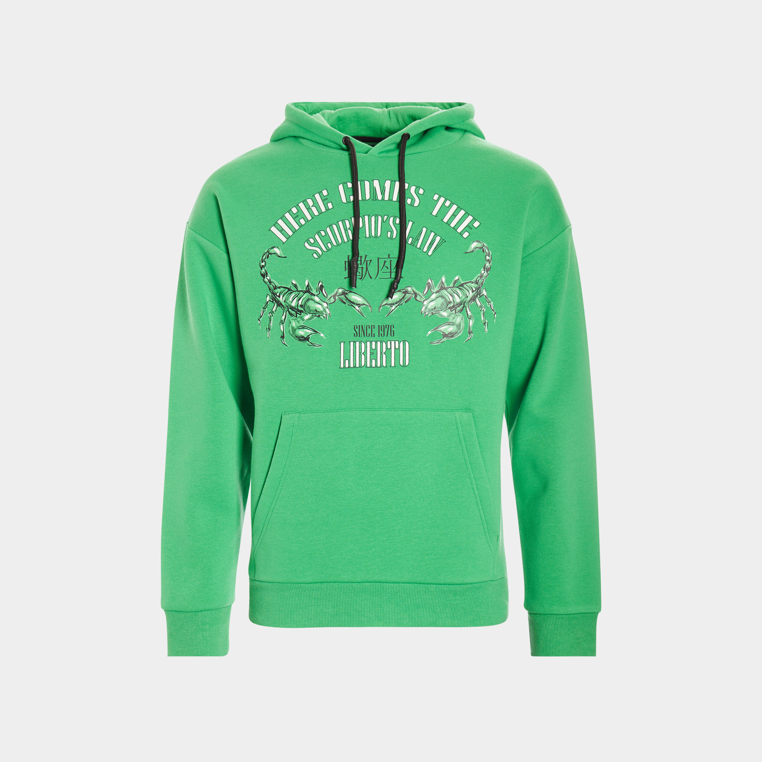 Sweat à capuche hoodie vert homme | La Halle