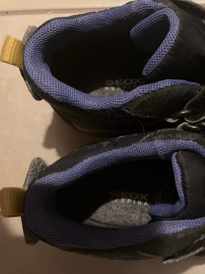 Geox Sneakers 