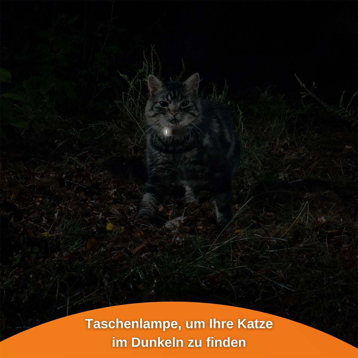 Weenect XS GPS Tracker für Katzen günstig kaufen