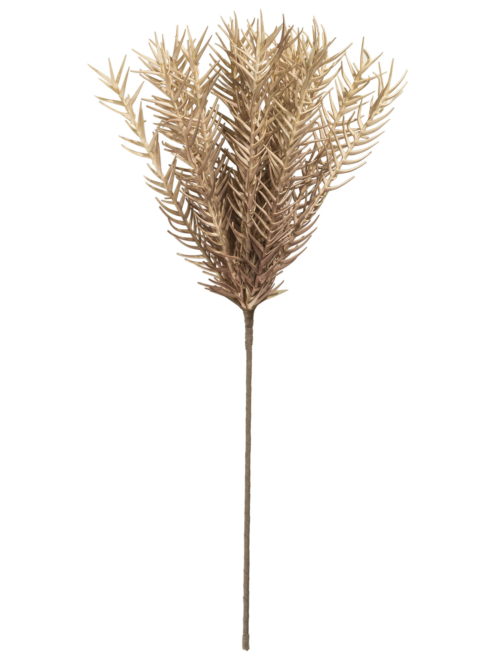 Klariolo Kunstblume, Hellbraun