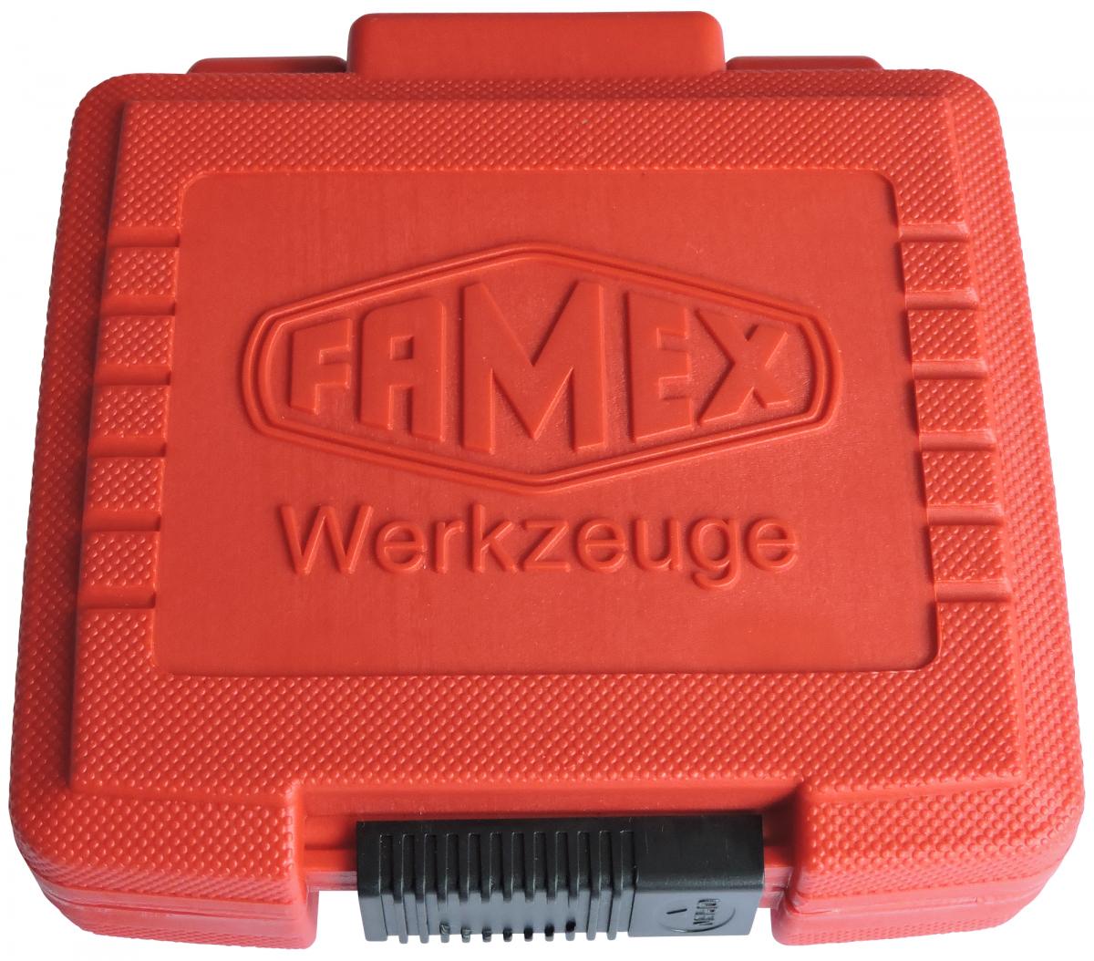 FAMEX Spezialeinsätze für Radschrauben 10808
