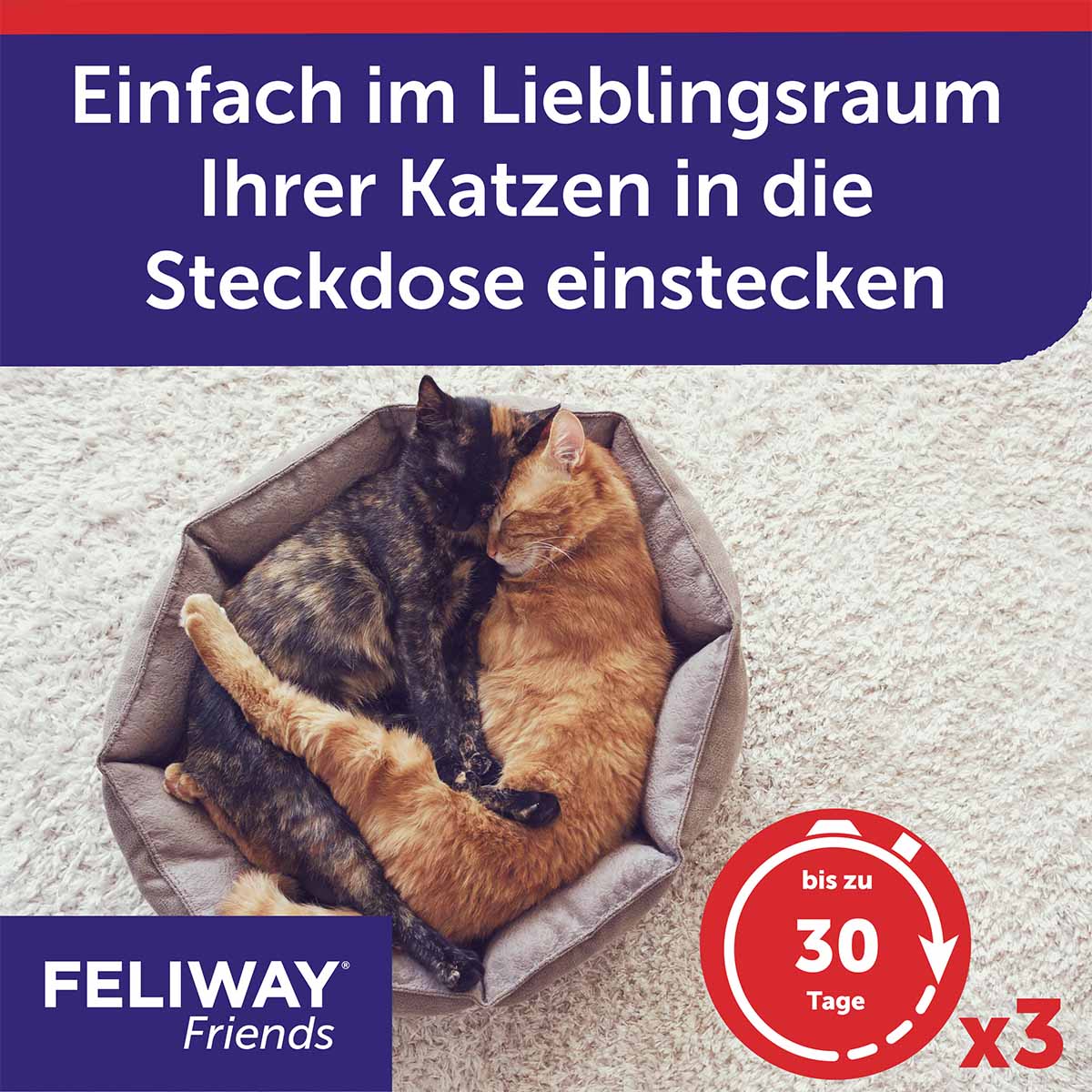 Feliway Friends 3x30 Tage Vorteilspack kaufen