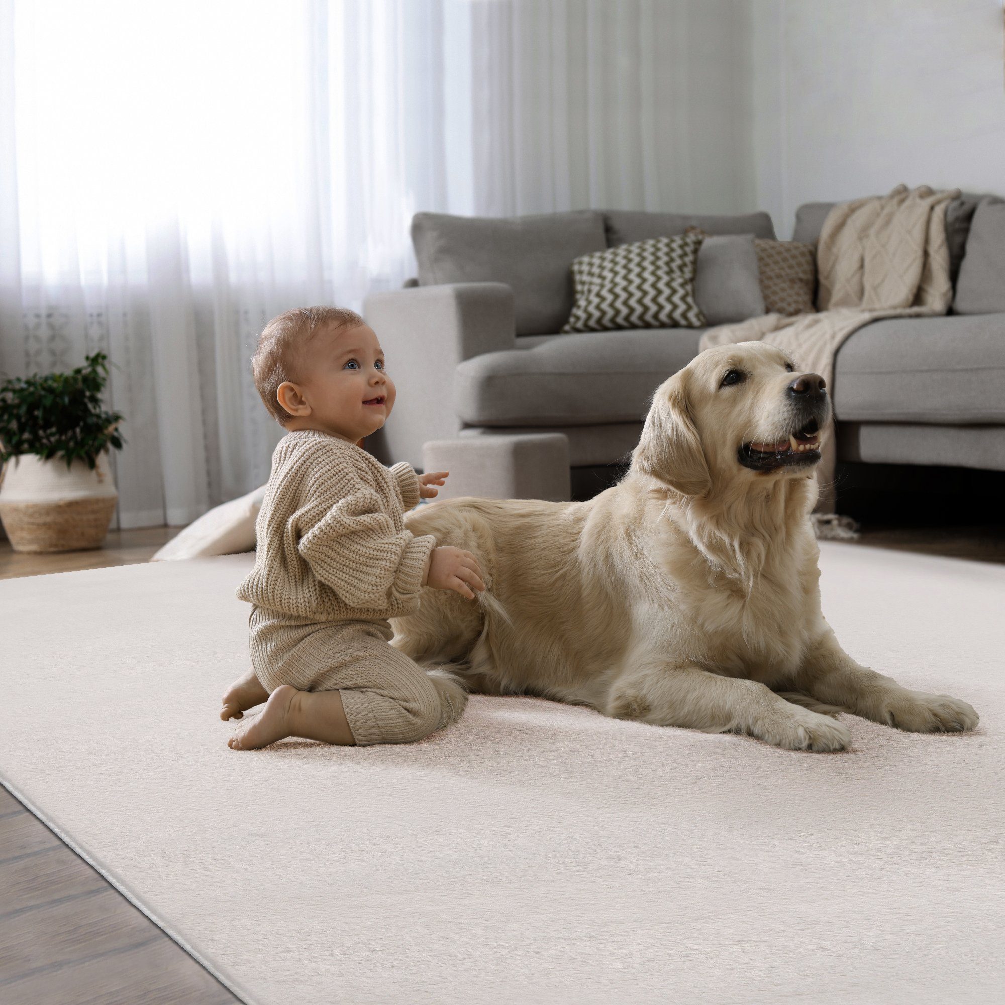 Fellteppich Cosy kuschelig Teppich, weich und elegant, the carpet, Rechteck, Höhe: 14 mm, Super weicher Kurzflor, waschbar, Wohnzimmer, Schlafzimmer