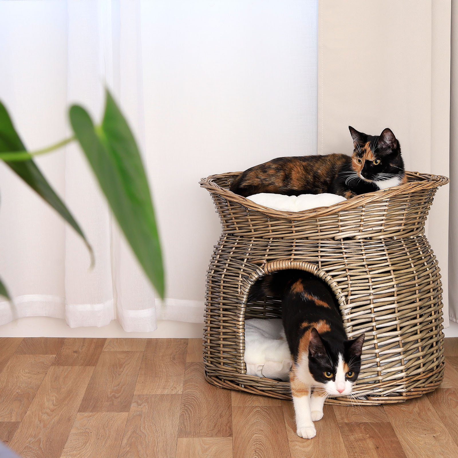 Lionto Katzenbetten & Katzensofas Lionto Weidenkorb für Katze grau