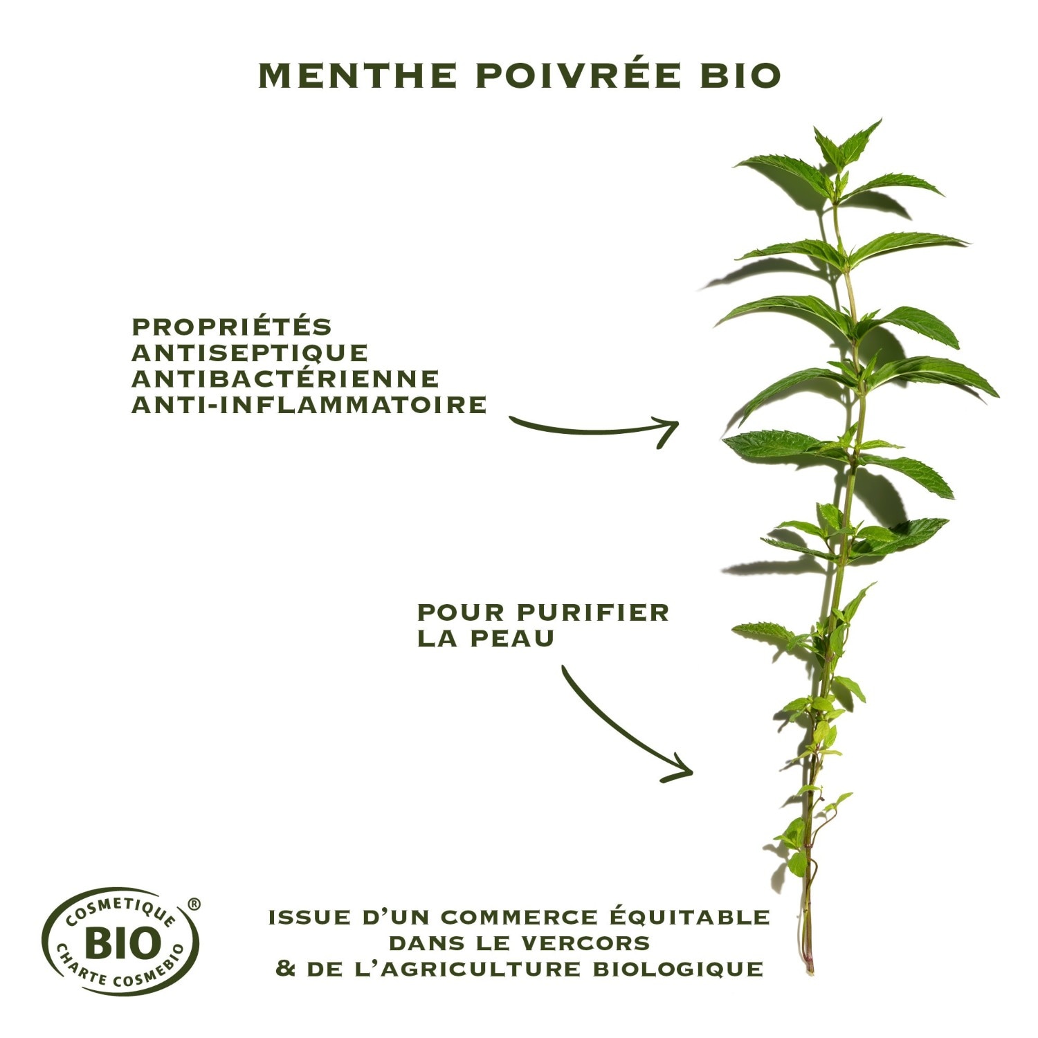 Sanoflore Magnifica