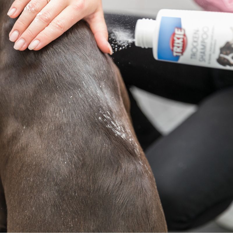 Trixie Trocken-Shampoo für Hunde zu TOP-Preisen