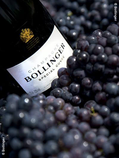 Bollinger : Special Cuvée