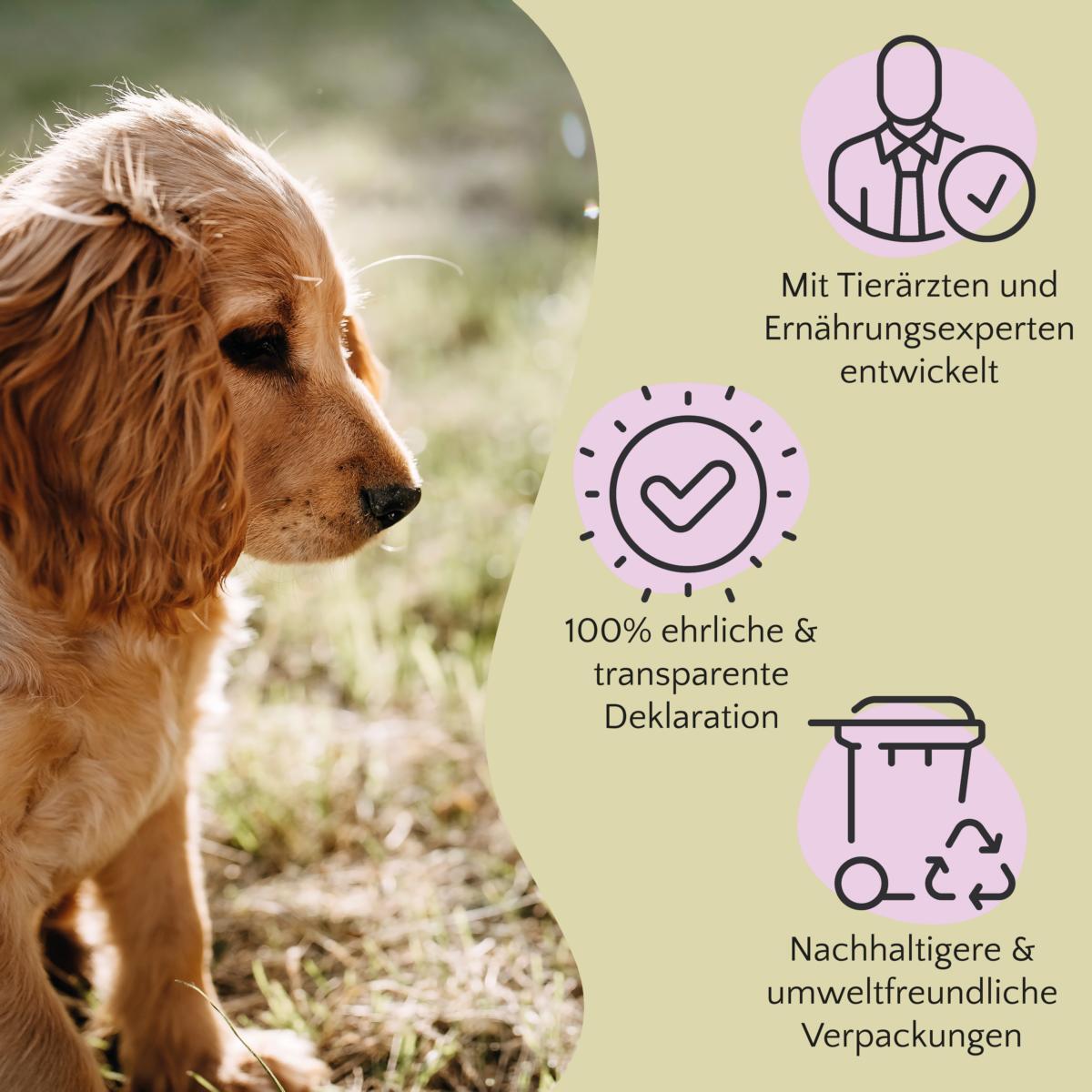 FAVLY Petfood Snacks FAVLY Petfood PURE Bites Lamm 360 g