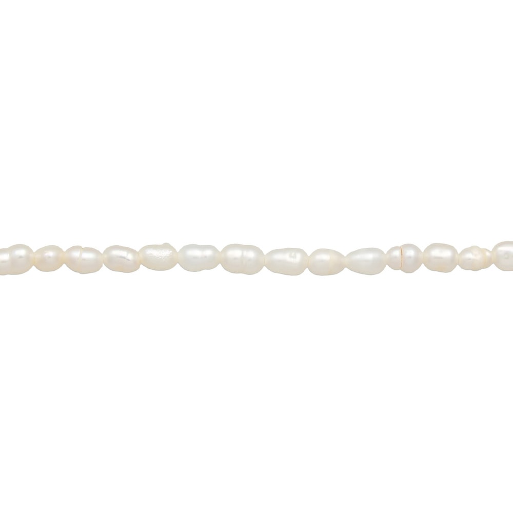 Elli PREMIUM Elli PREMIUM Collier Femmes Choker Classique Tendance avec Perles d'eau douce en  collier