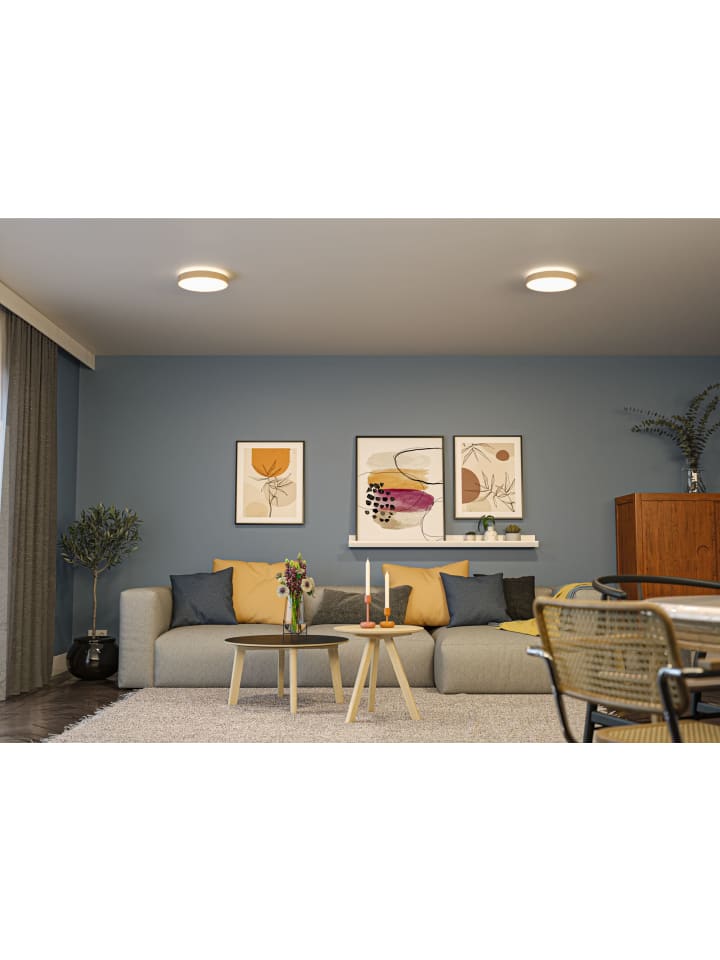 paulmann LED Panel Cosara günstig kaufen onesize