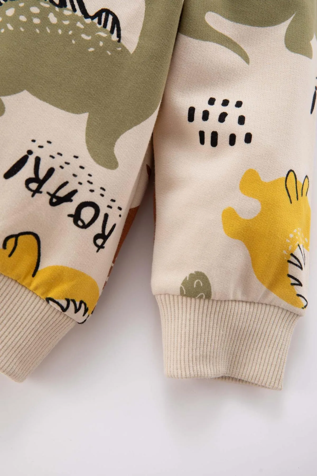 DeFacto  Weiches, flauschiges Sweatshirt mit Dinosaurier-Aufdruck und Rundhalsausschnitt für Babys (Jungen).