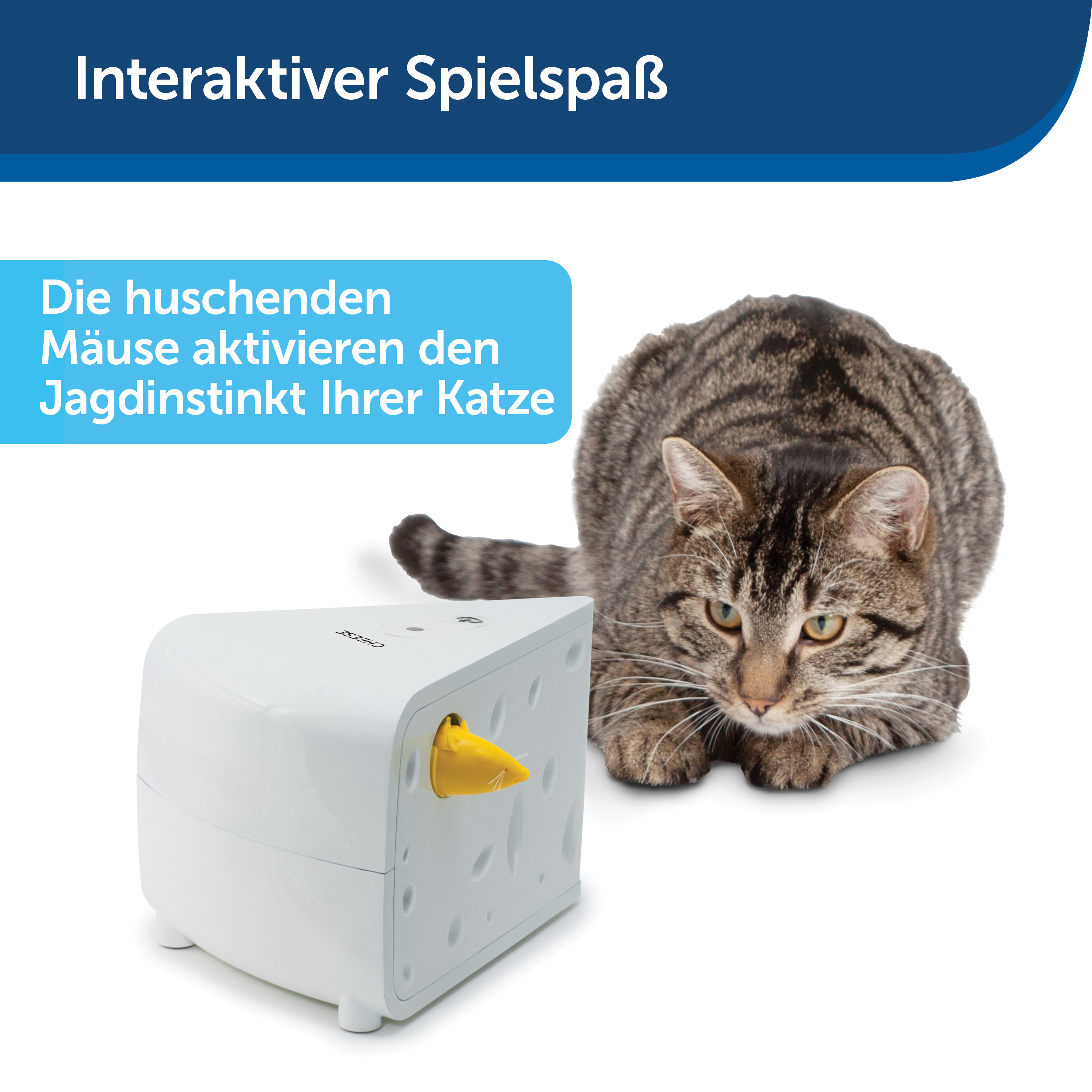 PetSafe Laserpointer & Elektrospielzeug PetSafe Automatisches Katzenspielzeug Cheese