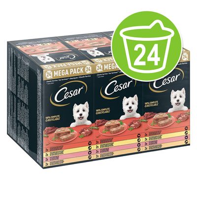 Megapack Cesar Schale 24 x 150 g