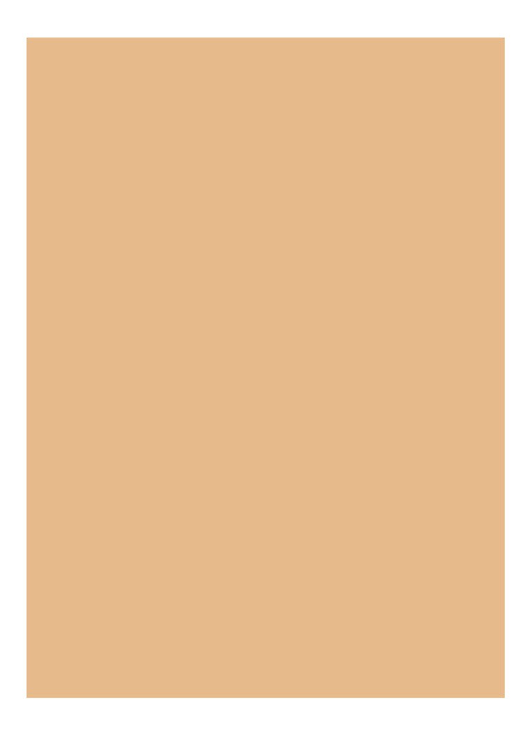 Corector Bobbi Brown Skin Full Coverage