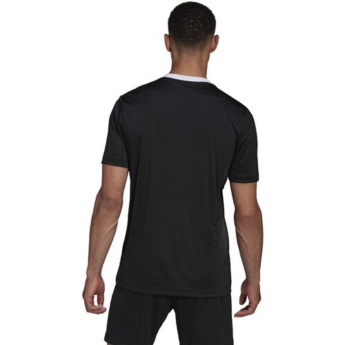 HERREN TRIKOT ENTRADA 22 (NORMAL & LANG)