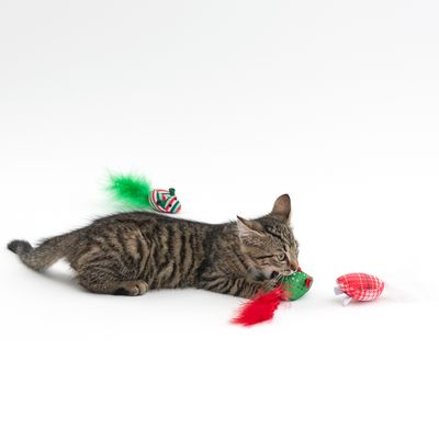 TIAKI Mäuse-Set mit Katzenminze