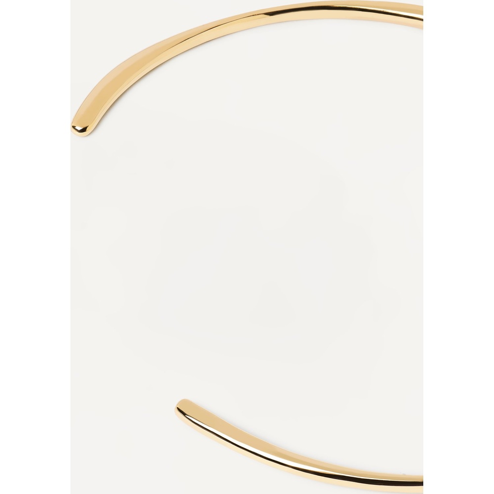 P D Paola Collier Laiton collier