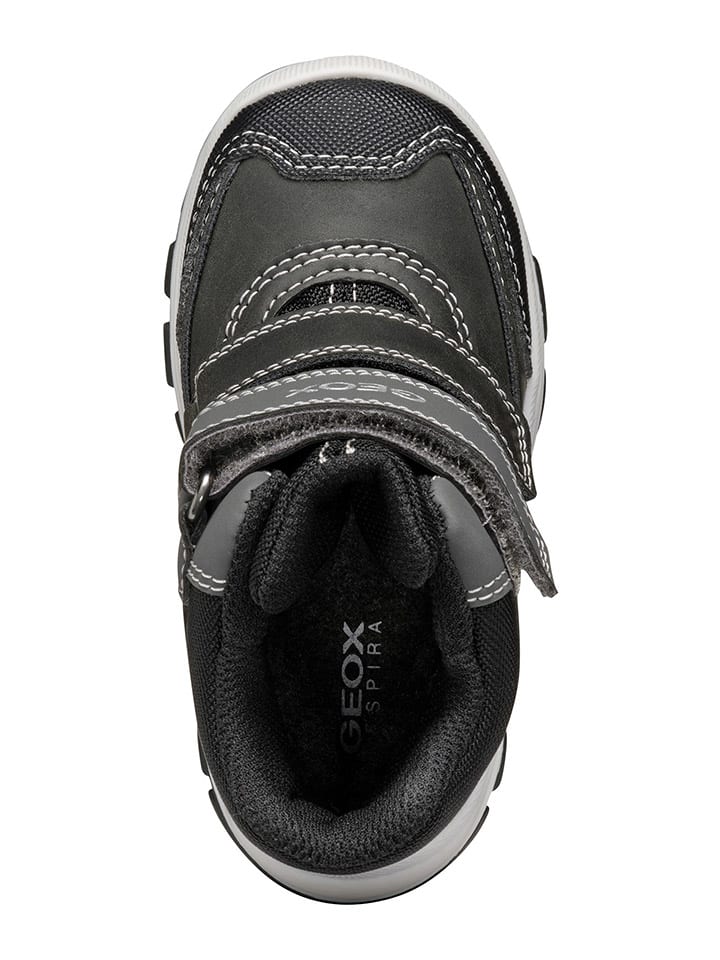 Geox Boots 