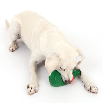 TIAKI Hundespielzeug Weihnachtliches Elfen-Bier