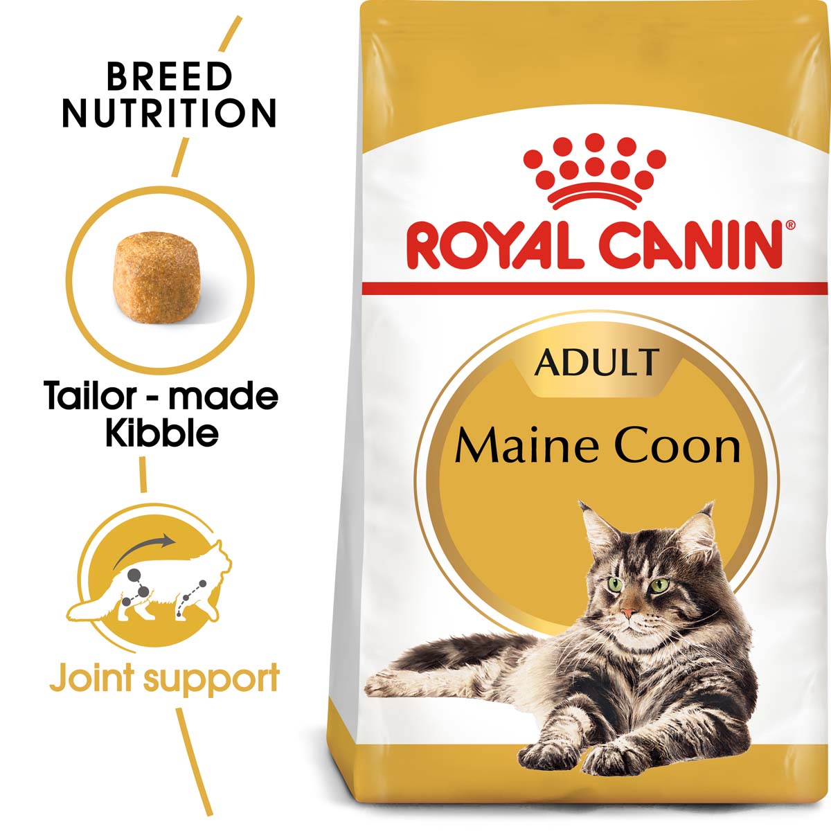 ROYAL CANIN ADULT Maine Coon 10kg + Nassfutter in Soße 48x85g