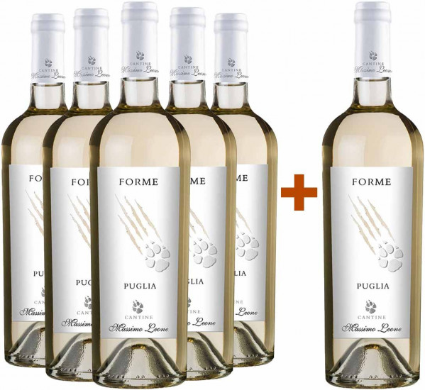 5+ Paket Forme Bianco Puglia IGP - Cantine Massimo Leone