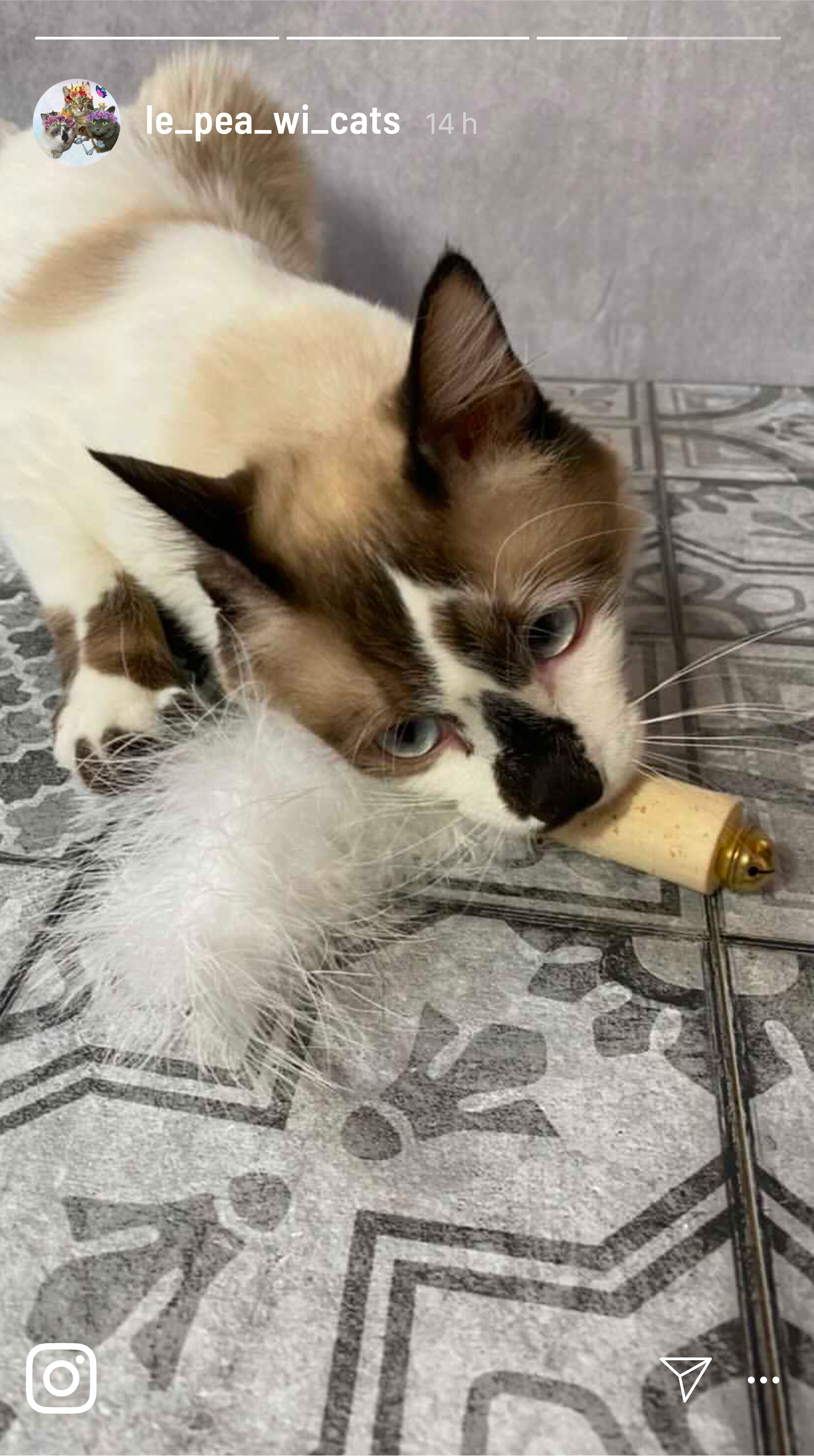 Kater Kasimir Spielmäuse & Bälle Kater Kasimir handgemachter Premium Federball mit echten Naturfedern