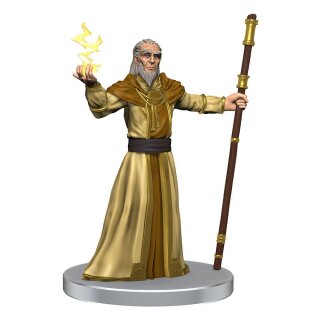 Critical Role: NPCs of Wildemount - Set (pre-painted) (9)