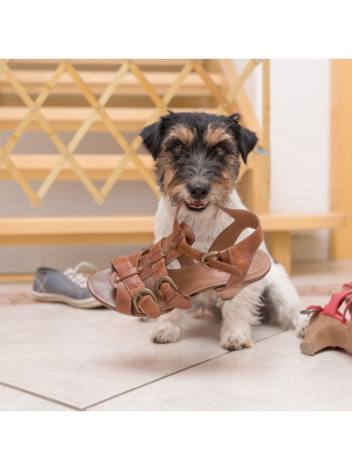 relaxdays Hundeabsperrgitter in Natur - (B)96 x (H)48,5 cm günstig kaufen onesize
