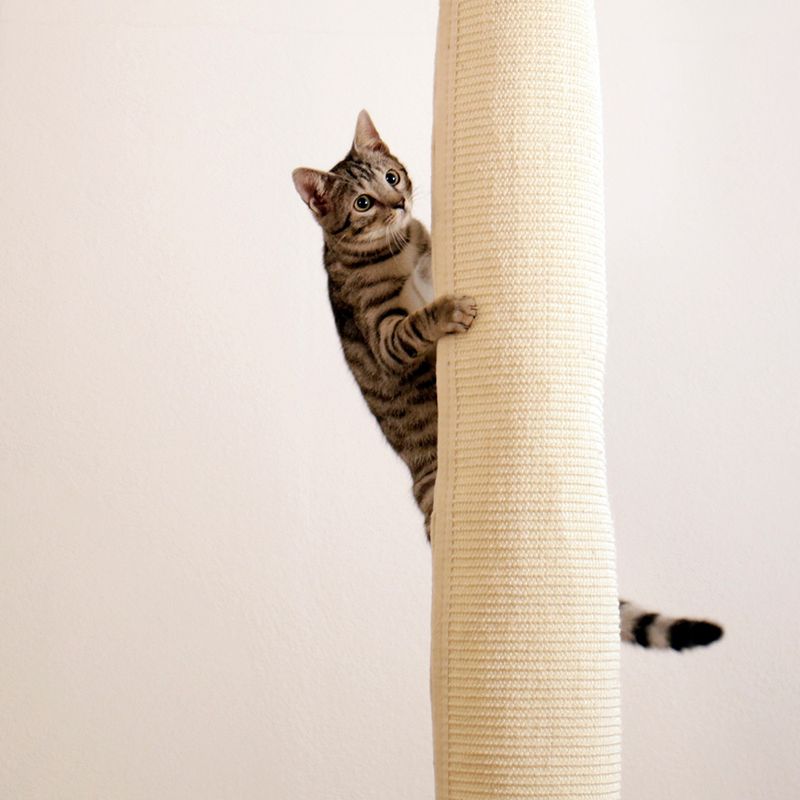 Kerbl Pet Klettersack Climber für Katzen zu TOP-Preisen | bitiba