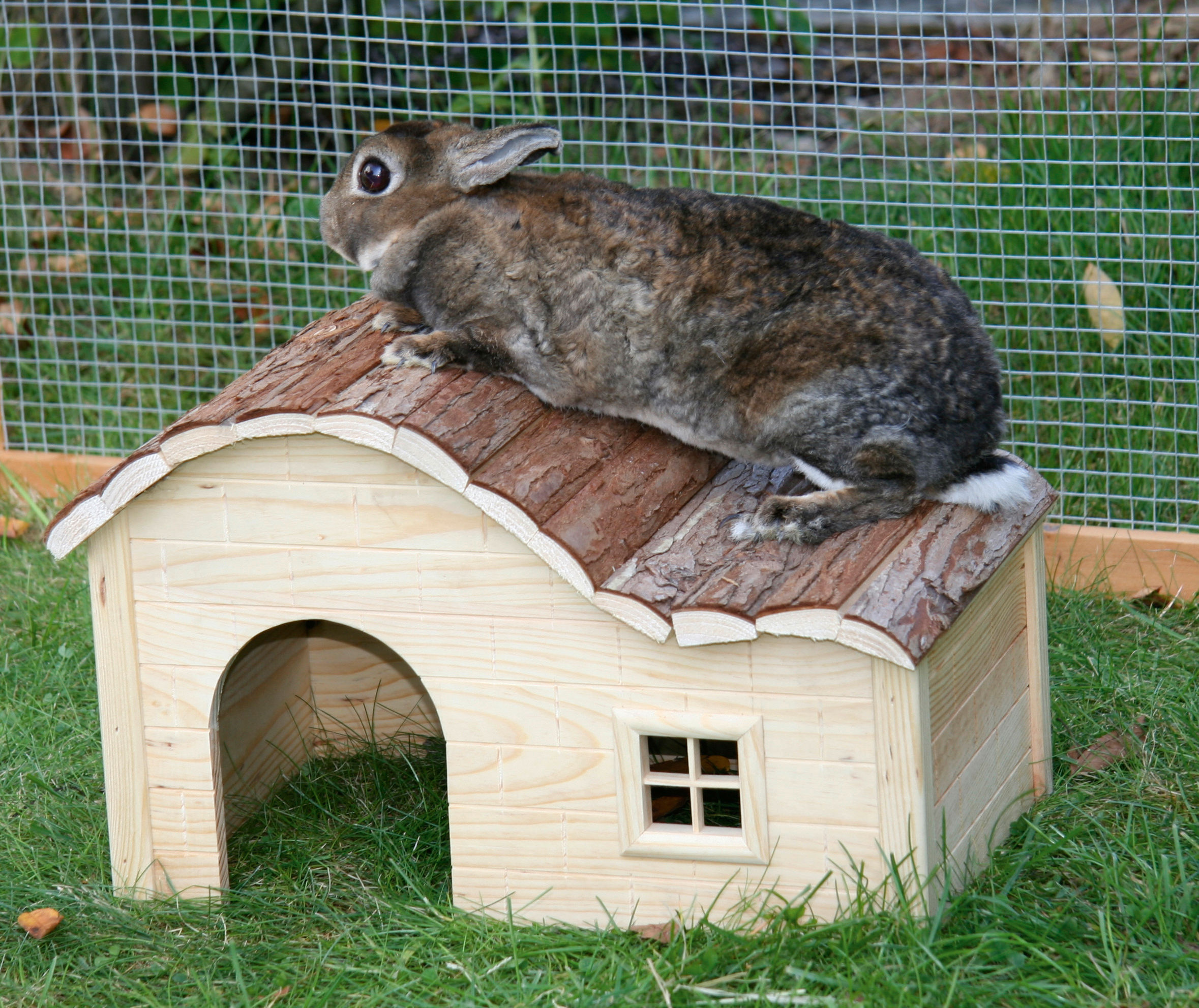 Kerbl Käfigzubehör Kerbl Pet Nagerhäuschen Welle Nature