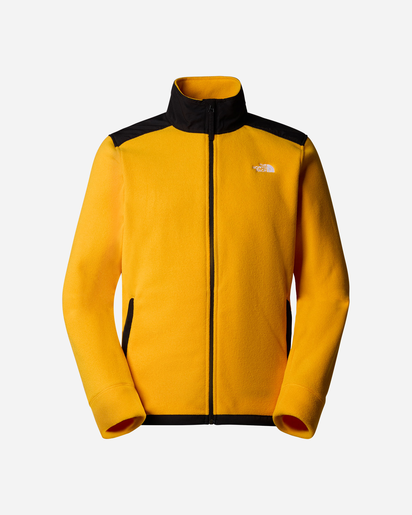 Pile The North Face Alpine Polartec 200 M NF0A7WWLZU31