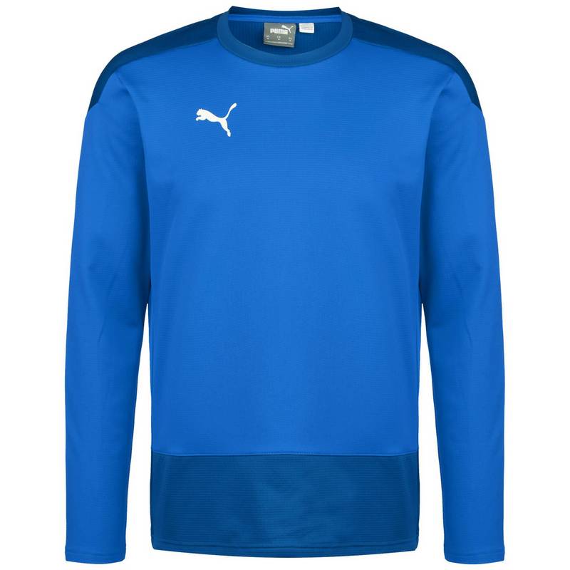 PUMA teamGOAL 23 Funktionssweatshirt Herren