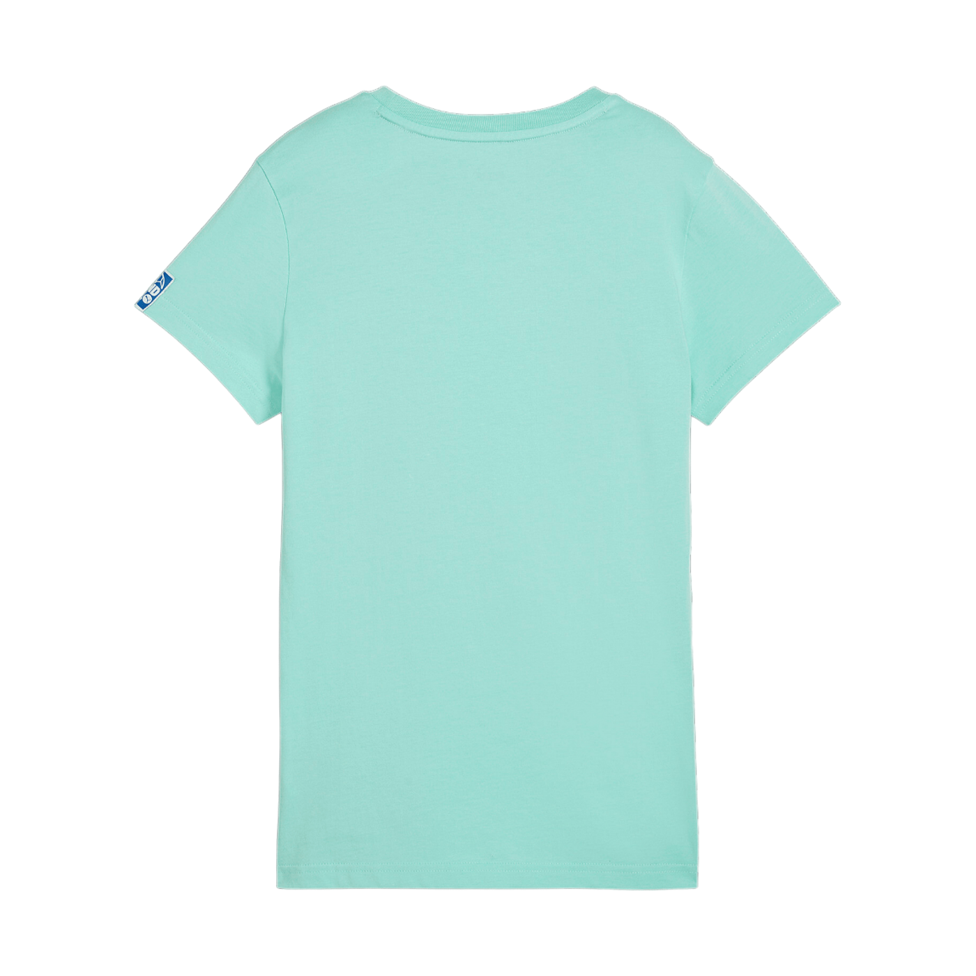 PUMA Handball T-Shirt Damen Grün F08