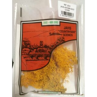 Gold Lichen