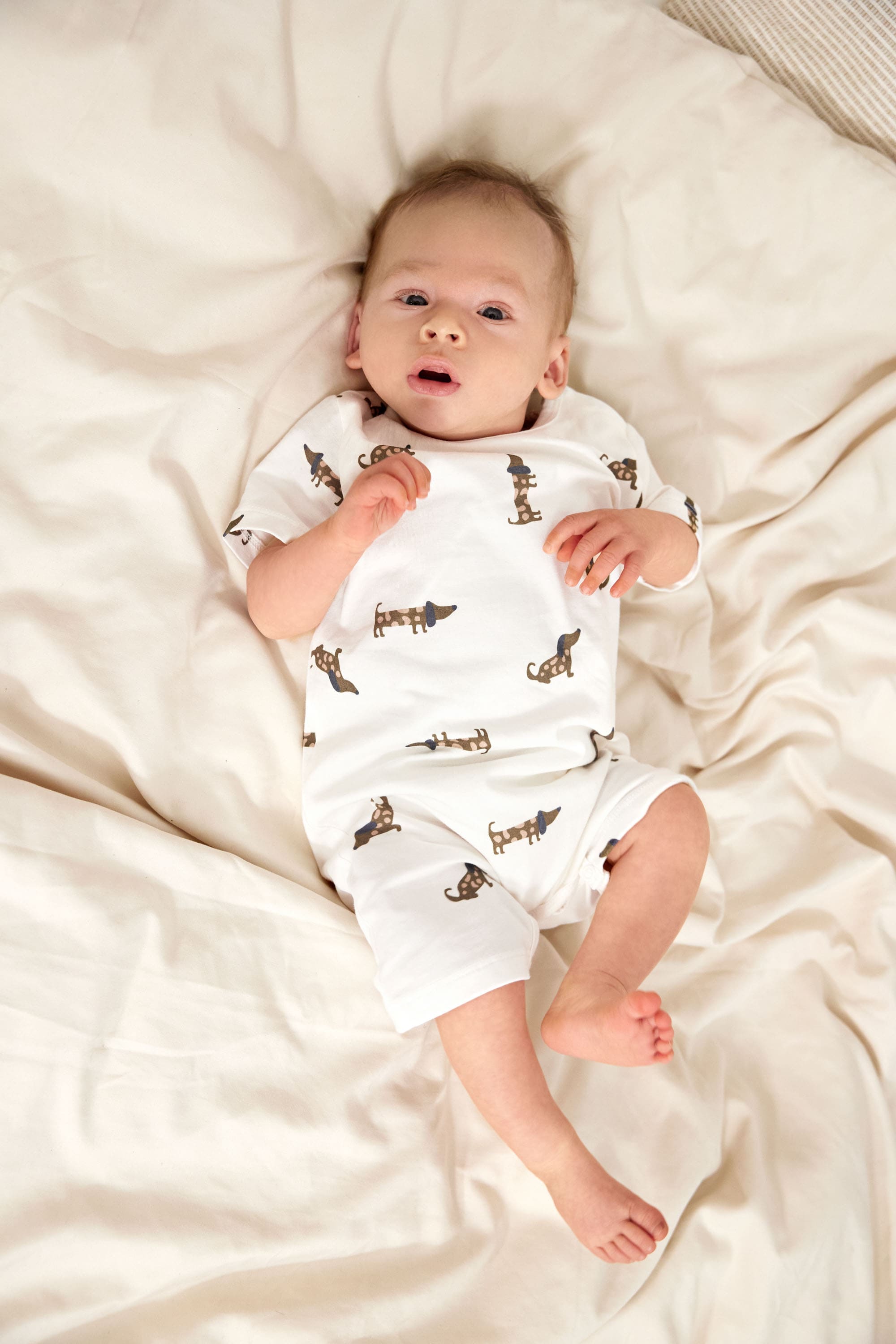 Kinder Pyjama Kurz - Bio Baumwolle, Hund Milky