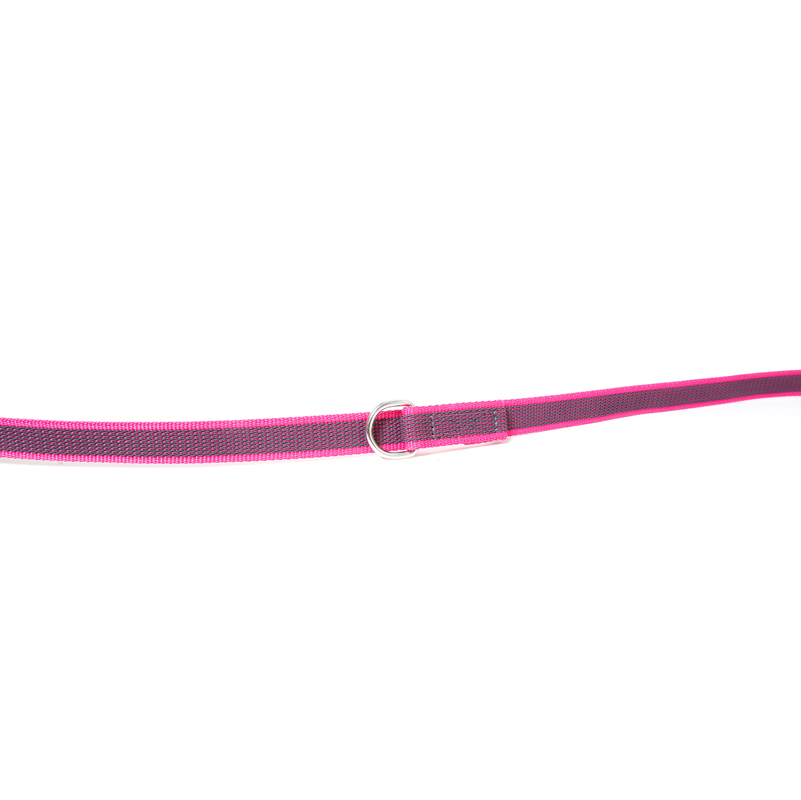 JULIUS-K9 Hundeleinen JULIUS-K9 Führleine verstärkt 20mm pink