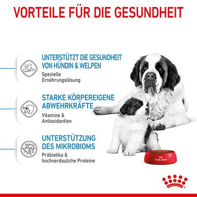 Royal Canin Giant Starter Mother & Babydog