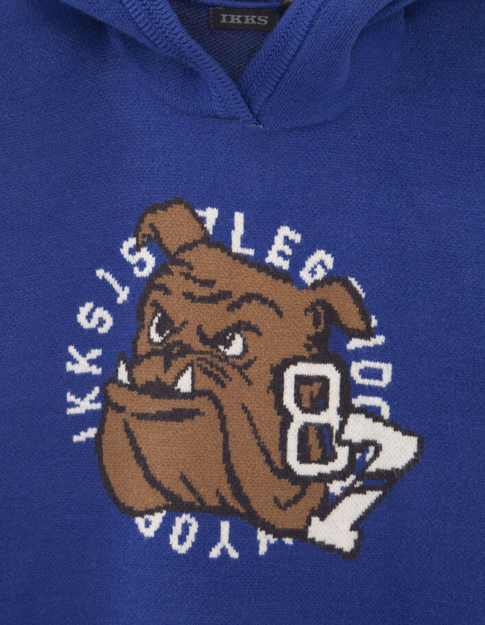 Pull bleu tricot Intarsia bouledogue garçon