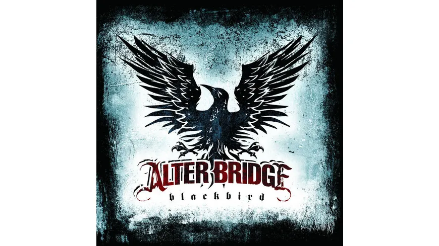 Blackbird