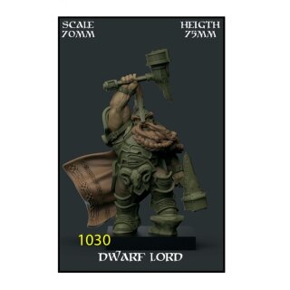 Dwarf Lord 70mm