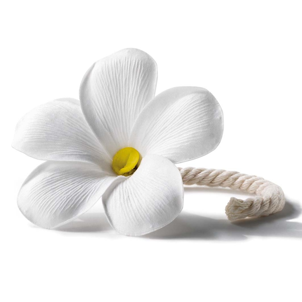 esteban Fleur à parfum Recharge Fleur à parfum