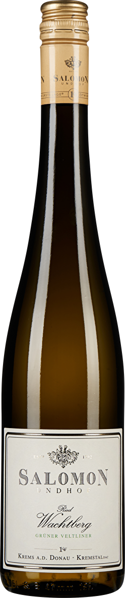 Salomon Grüner Veltliner Ried Wachtberg 1ÖTW Erste Lage 2022