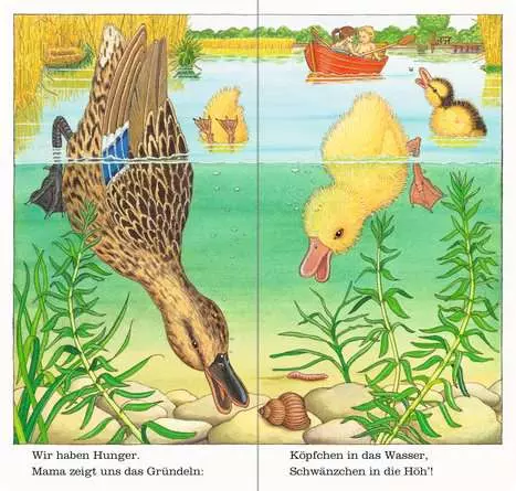 Ich bin die kleine Ente